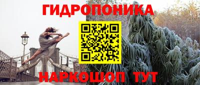 каннабис Будённовск