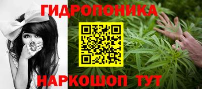 каннабис Будённовск